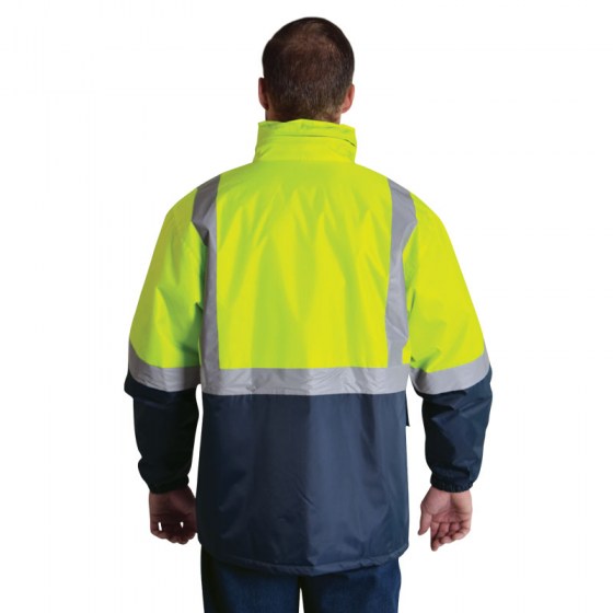 hvg2-modelback